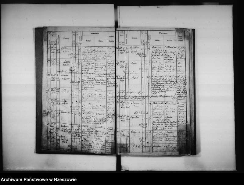 image.from.unit.number "Księga urodzeń Biała, Matysówka, Zalesie Drabinianka, Rzeszów, Tyczyn"