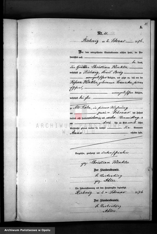 image.from.unit.number "Geburts-Neben-Register Standesamt Riebnig Kr.[eis] Brieg 1876"