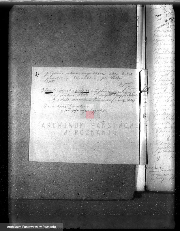 Obraz 7 z jednostki "Drzewostan na majątku państwowym Chwałkowo powiat średzki"