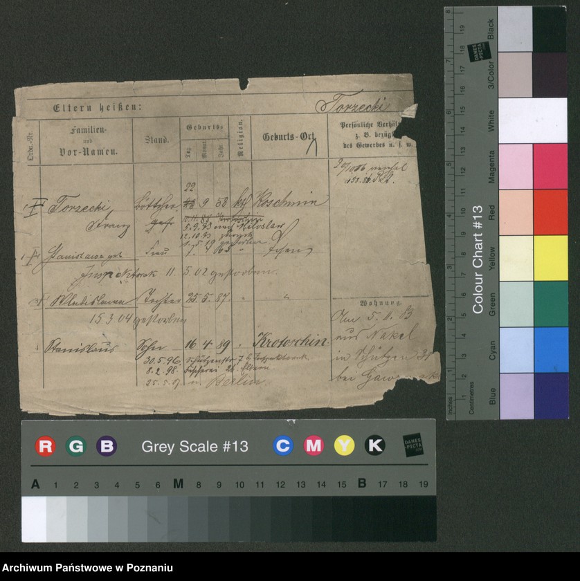 Obraz 6 z jednostki "Torzecki - Trawicki"