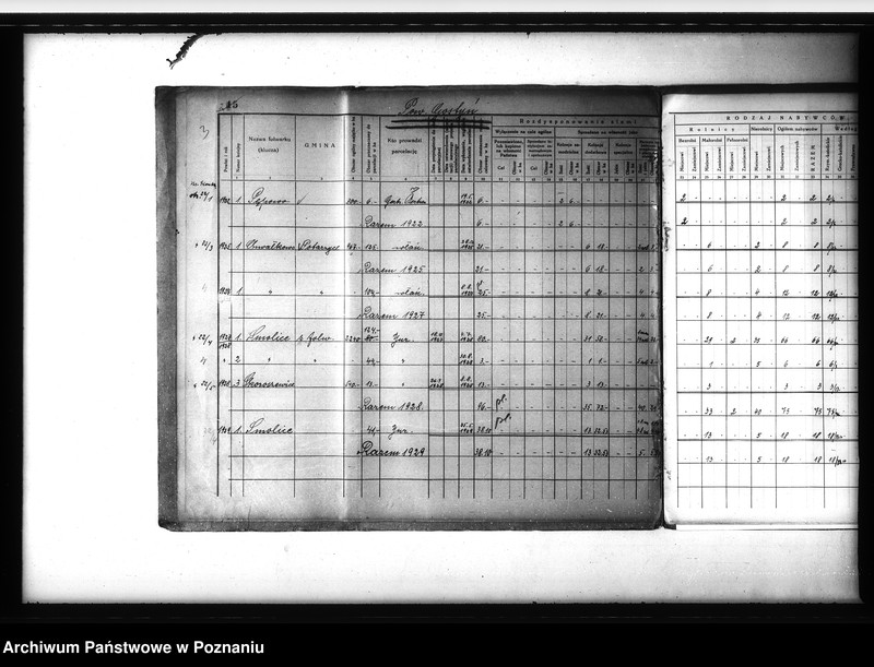 Obraz 8 z jednostki "/Zestawienie /wykaz/ rozdysponowania ziemi na cele parcelacyjne powiatu gostyńskiego"