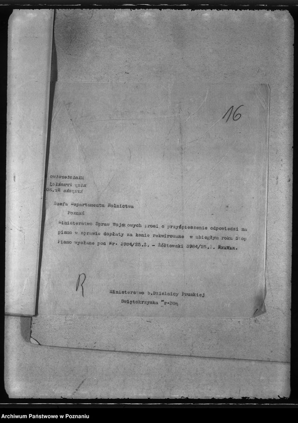 Obraz 20 z jednostki "Rekwizycje koni"