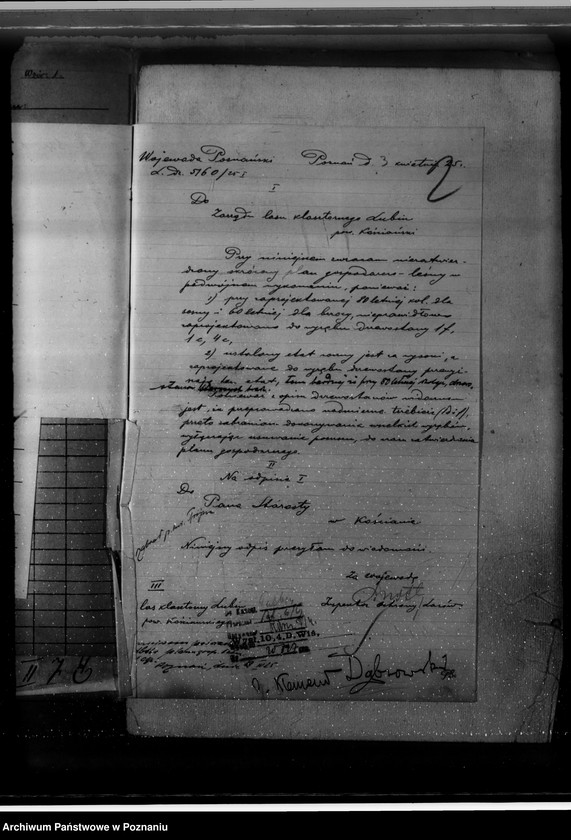 Obraz 6 z jednostki "Nadzór nad gospodarką w lasach O.O. Benedyktynów w Lubiniu powiat kościański"