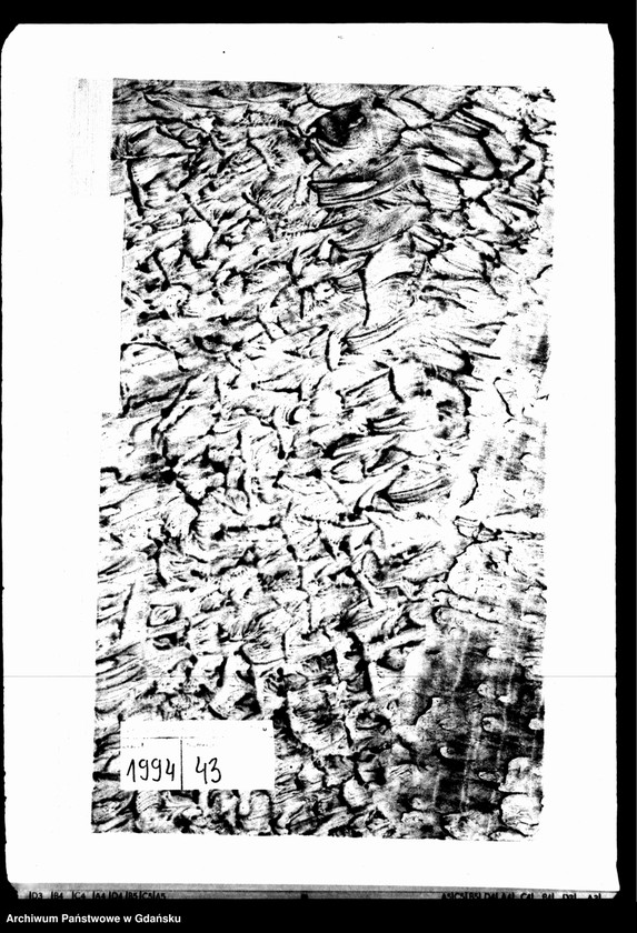 image.from.unit.number "Księga urodzeń"