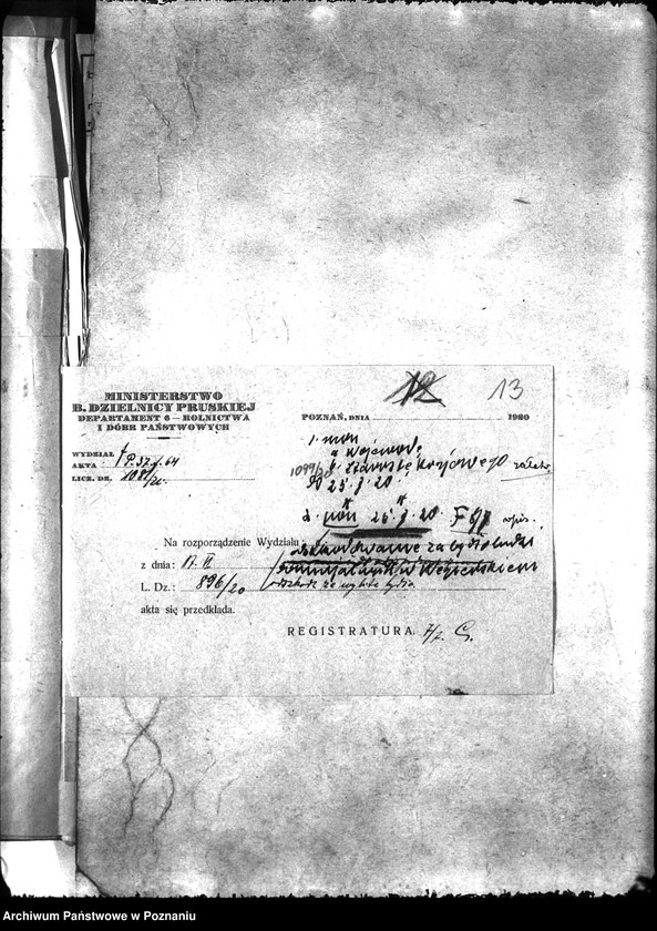 Obraz 17 z jednostki "Zaraza płucna - Krotoszyn"