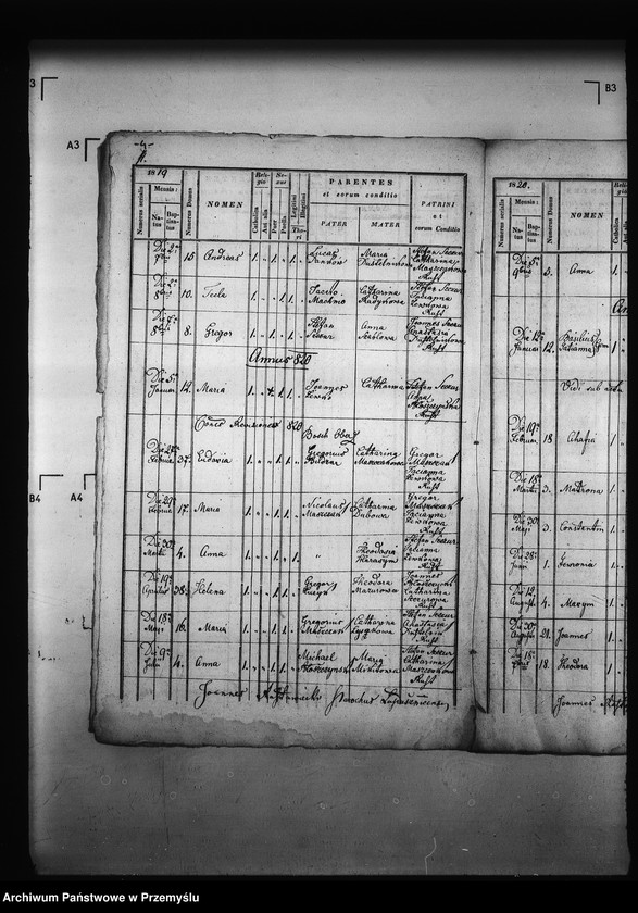 image.from.unit.number "[Kopie ksiąg metrykalnych parafii Smolna (dekanat Podbuż)]"