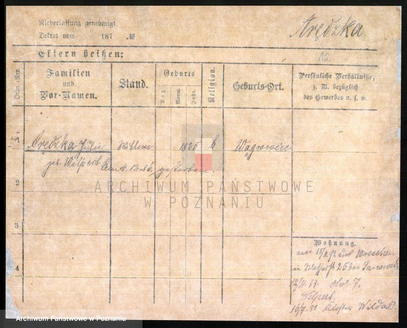 Obraz 14 z jednostki "Arędzka - Arndt"