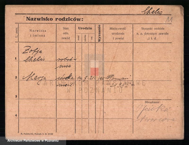 Obraz 13 z jednostki "Chelek - Chmella"