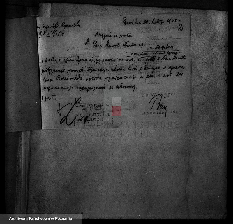 Obraz 6 z jednostki "Krzywekolano powiat mogileński /las Juliuszy Rodenwalda/"