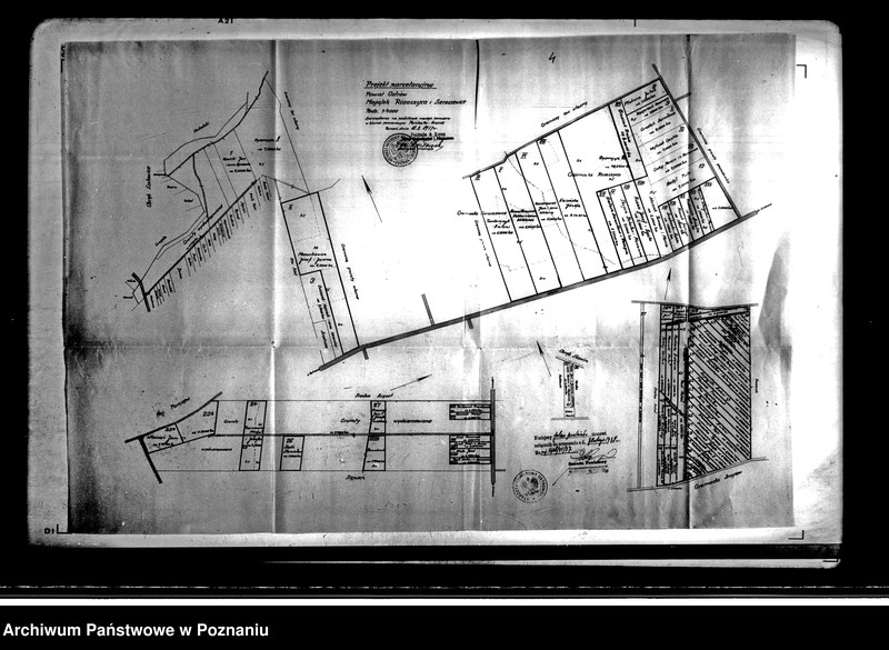 Obraz 8 z jednostki "Projekt parcelacyjny majątku Sieroszewice i Rosoczyce powiatu ostrowskiego"