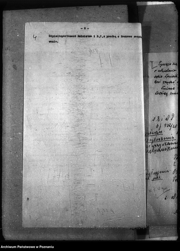 Obraz 8 z jednostki "Instytut Higieny Zwierząt w Bydgoszczy"