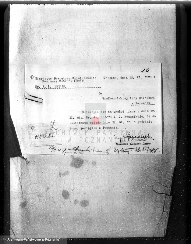 Obraz 14 z jednostki "Majętność /leśna/ Pamiątkowo powiat obornicki"