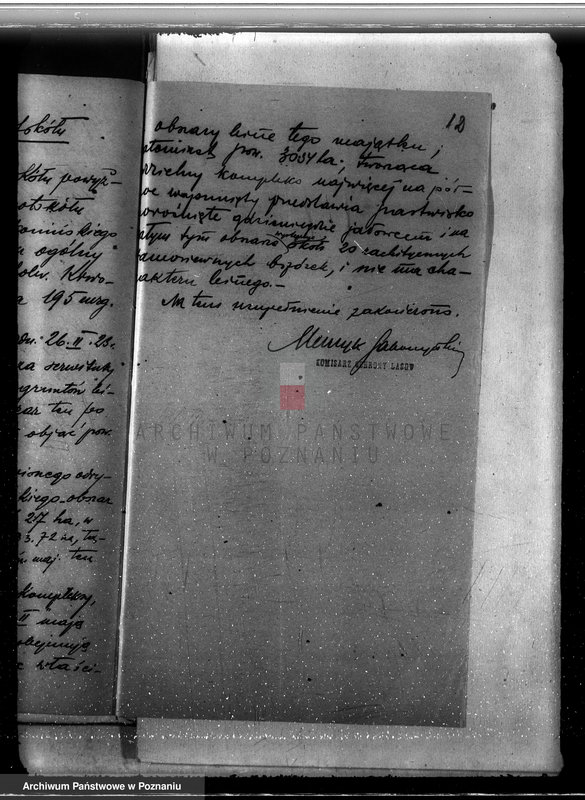 Obraz 16 z jednostki "Majątek Krwony powiat kolski /nadzór nad gospodarką leśną/"