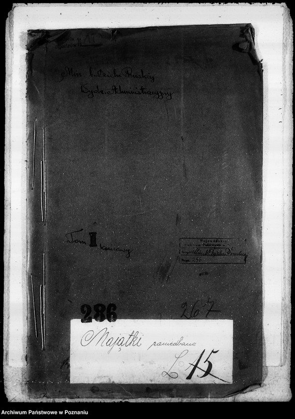 Obraz 4 z jednostki "Majątki zaniedbane"