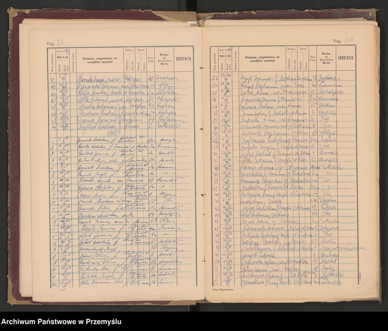 image.from.unit.number "Księga zgonów - wpisy dla miejscowości Lubaczów, Ostrowiec, Krowica, Lisie Jamy, Dąbrowa, Opaka, Dąbków, Załuże, Młodów-Antoniki - odpis"