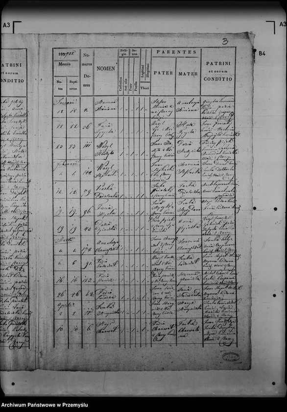 Obraz 7 z jednostki "[Kopie ksiąg metrykalnych parafii Czarna z filią Żołobek (dekanat Lutowiska)]"