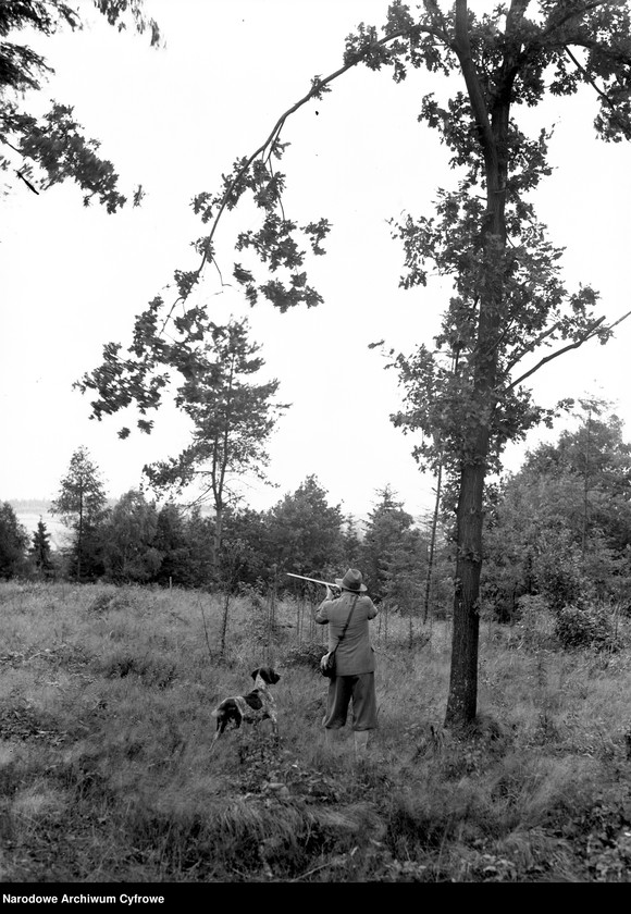 Obraz 3 z jednostki "Polowanie w lasach "Burzynek" należących do Stanisława Burzyńskiego"