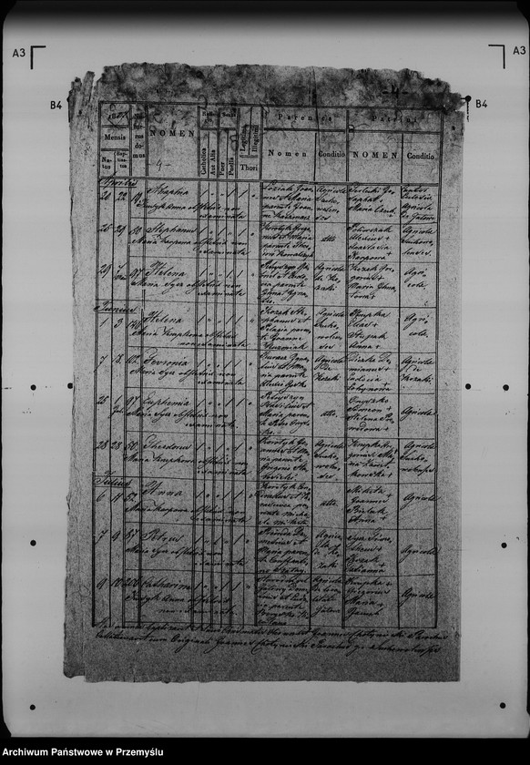 image.from.unit.number "[Kopie ksiąg metrykalnych parafii Sucha Wola (dekanat Lubaczów)]"