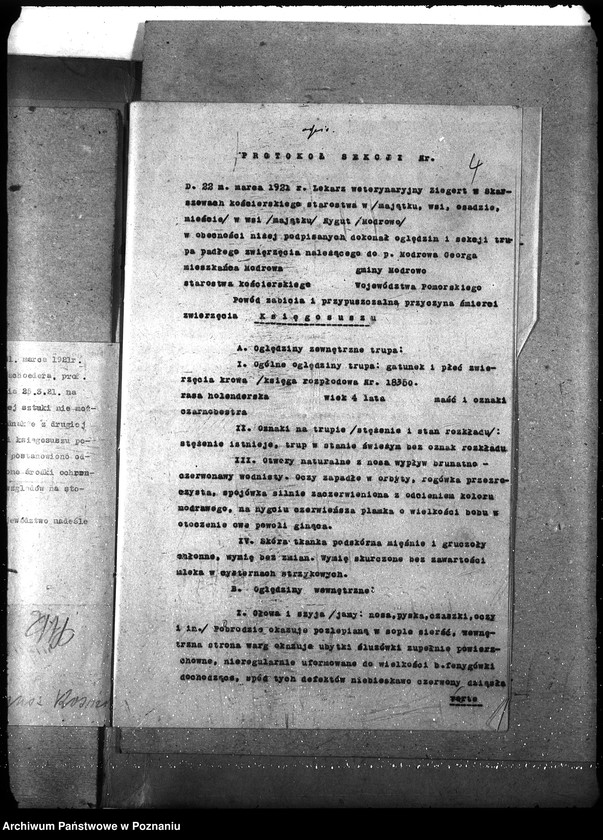 Obraz 8 z jednostki "Księgosusz - Kościerzyna"