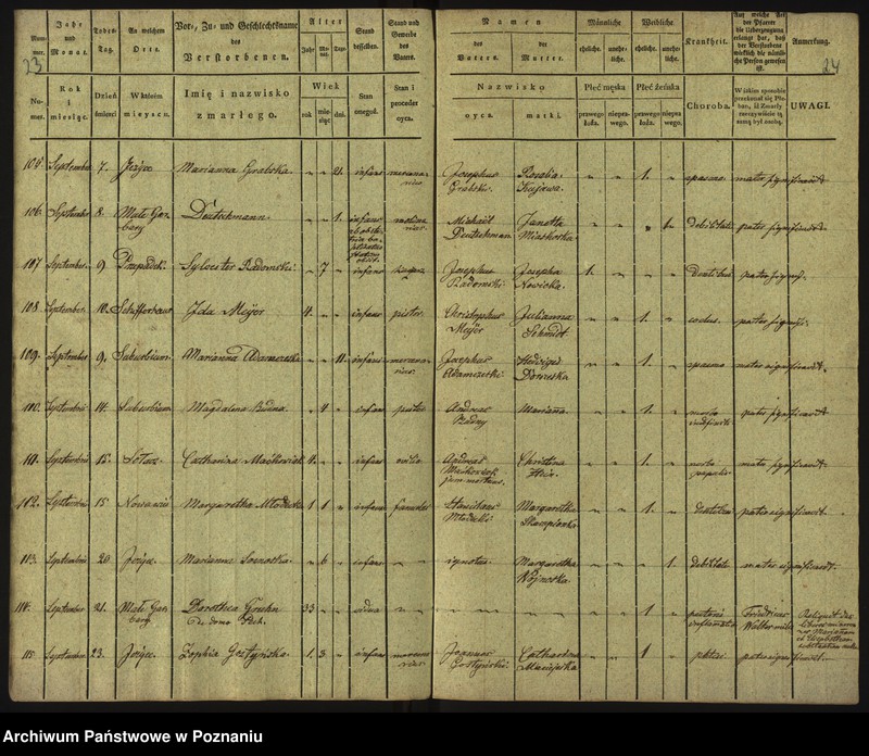 Obraz 15 z jednostki "Księga zgonów"