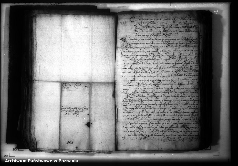 Obraz 17 z jednostki "Lauda [acticantia]"