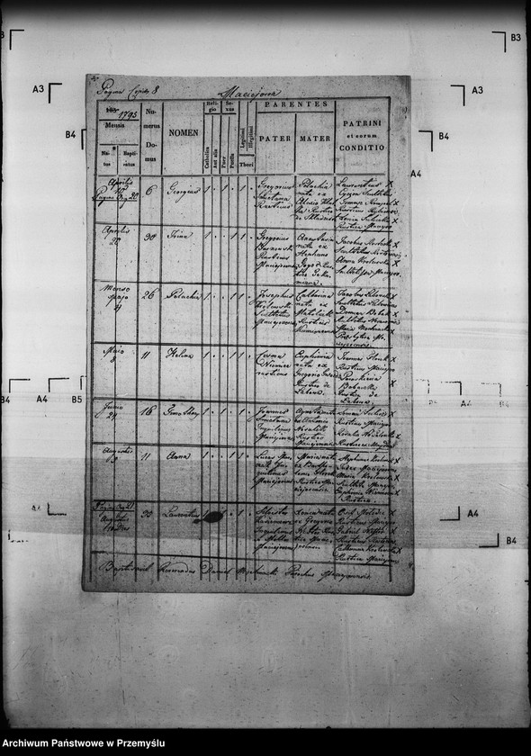 Obraz 13 z jednostki "[Kopie ksiąg metrykalnych parafii Maciejowa z filiami Barnowiec, Czaczów, Margoń, Składziste, Roztoka Mała, Rybień, Złotne (dekanat Muszyna)]"