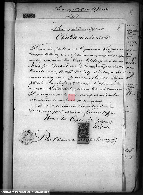 image.from.unit.number "Dokumenty o brakososčetavšichsja Evrejach v Serejskom Božničnom Okruge v 1893 godu"