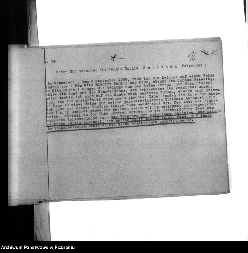 Obraz 20 z jednostki "Abschriften der Berichte über Ermordungen. Zweigstalle Litzmannstadt (Łódź)"