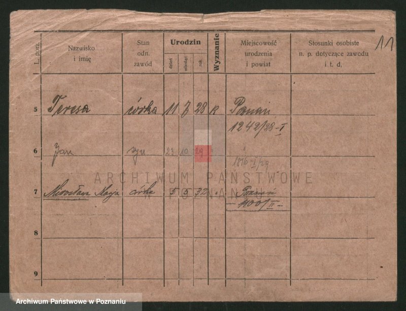 Obraz 11 z jednostki "Musiała - Muskieta"