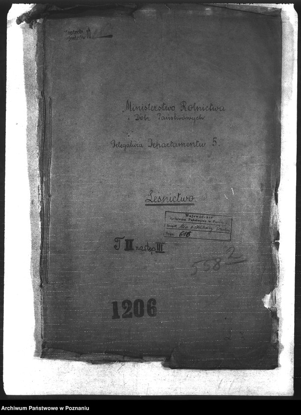 Obraz 3 z jednostki "Leśnictwo"