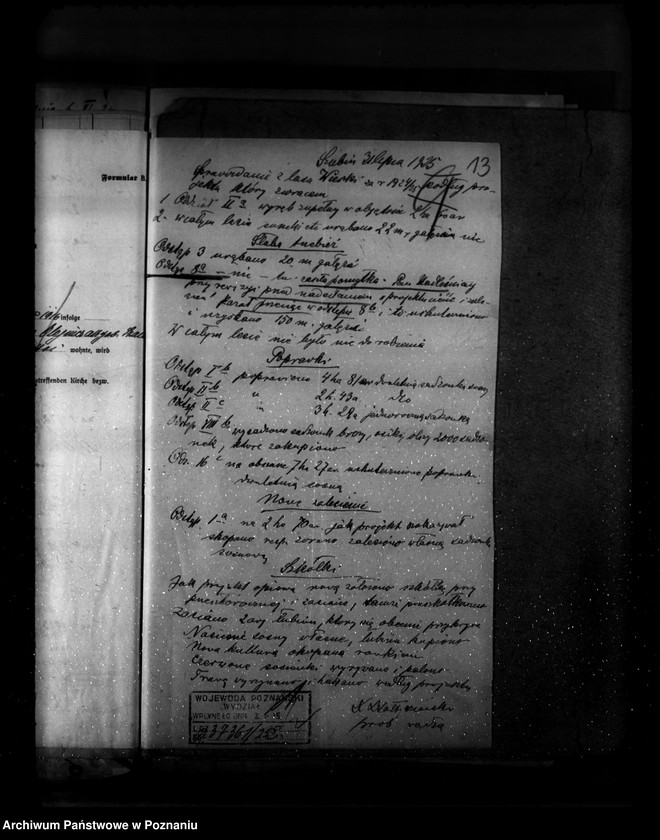 Obraz 17 z jednostki "Gospodarka leśna kościoła katolickiego Wieszki powiat szubiński"