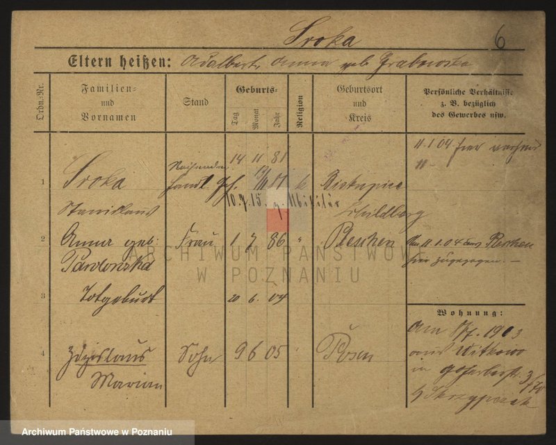 Obraz 14 z jednostki "Sroka - Stache"