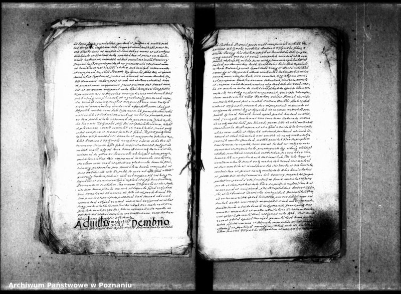 Obraz 6 z jednostki "Resignationes [inducta]"