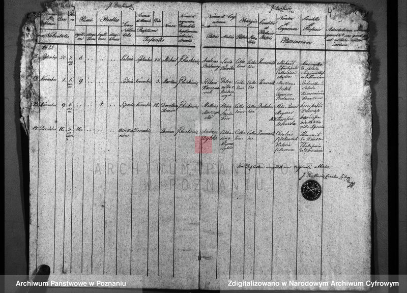 image.from.unit.number "Duplicatum baptisatorum, copulatorum, mortuorum"