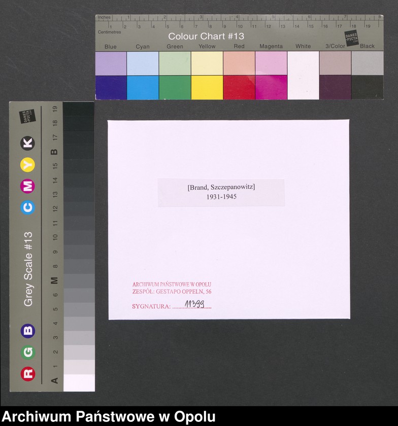 Obraz 2 z jednostki "[Brand, Szczepanowitz]"