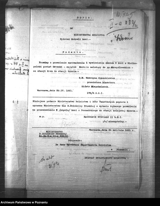 Obraz 9 z jednostki "Konie"