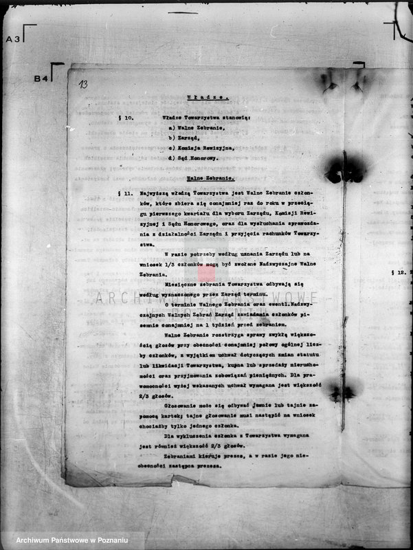 Obraz 19 z jednostki "/Towarzystwo Ornitologiczne w Poznaniu/"