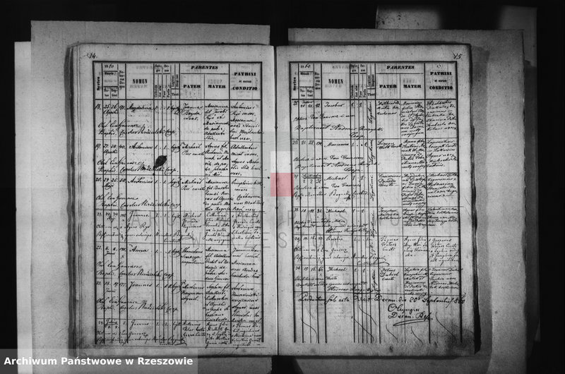 image.from.unit.number "Księga urodzeń - Łąka"