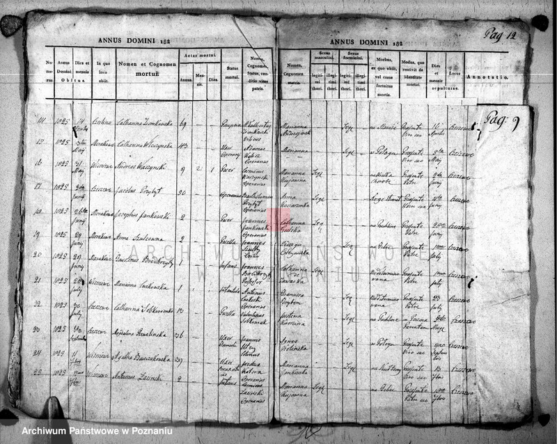 image.from.unit.number "Duplikat baptisatorum, copulatorum u. mortuorum"