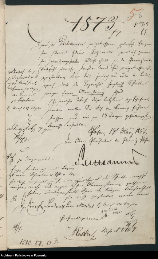 Obraz 12 z jednostki "A. betr. den polnischen Flüchtling Eduard, Vinzent von Trzciński"