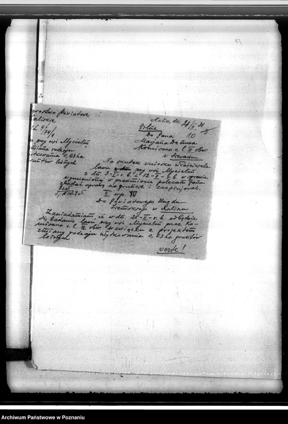 Obraz 14 z jednostki "Gmina Kościelec powiat kaliski /sprawy leśne/"