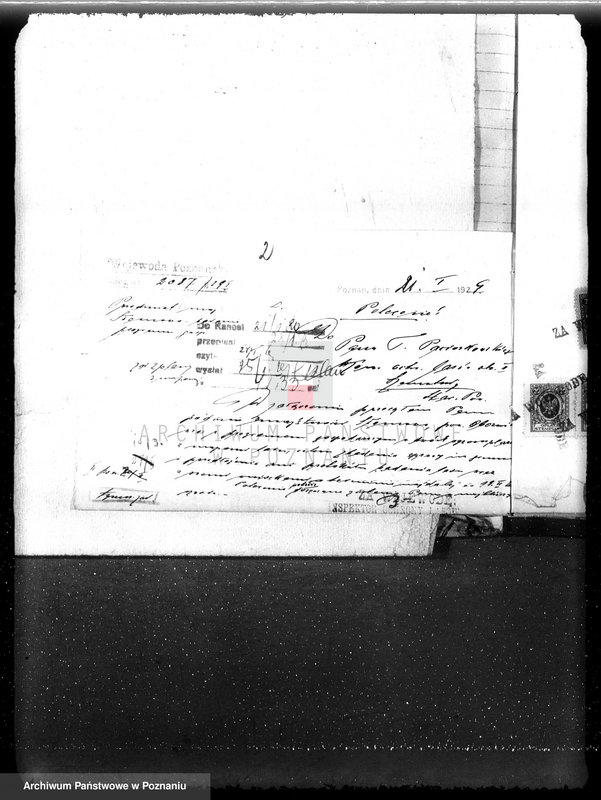 Obraz 6 z jednostki "Las majętność Słomowo-Pacholewo powiat obornicki"