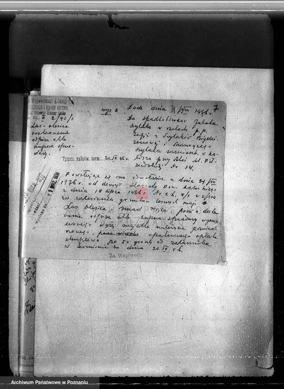 Obraz 11 z jednostki "Majętność /leśna/ Olesiec-Chocz powiat koniński"