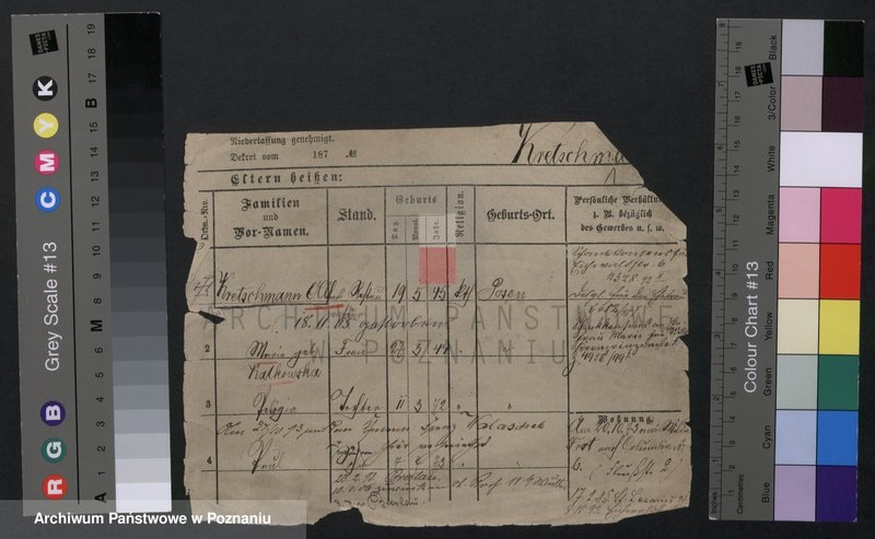 Obraz 1 z jednostki "Kreczman - Krenauer"