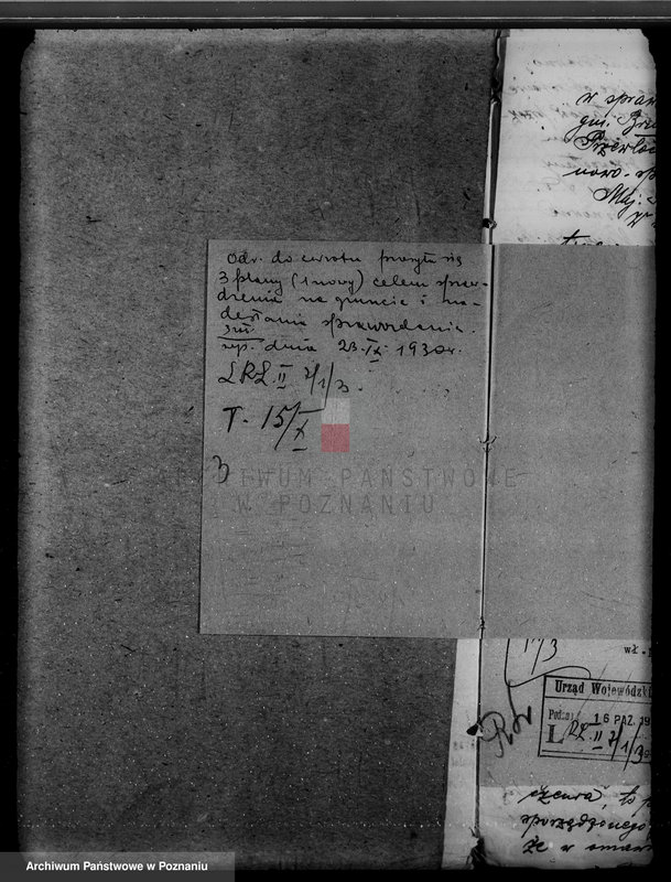 Obraz 7 z jednostki "Lasy majątku Brudzew w powiecie kaliskim"