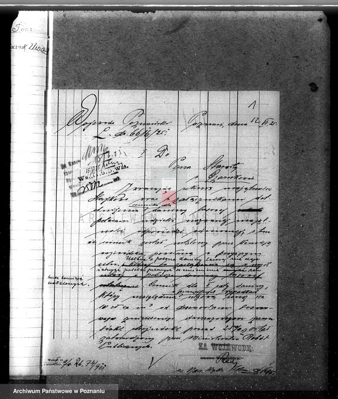 Obraz 6 z jednostki "Nadzór nad gospodarką leśną w lasach majętności Stajkowo powiecie czarnkowskim"