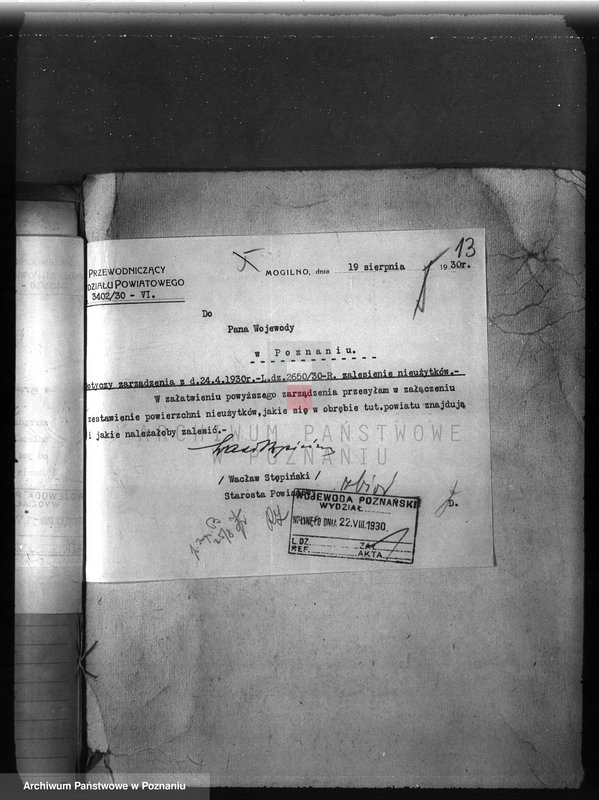 Obraz 17 z jednostki "Zalesienie nieużytków w powiecie mogileńskim"