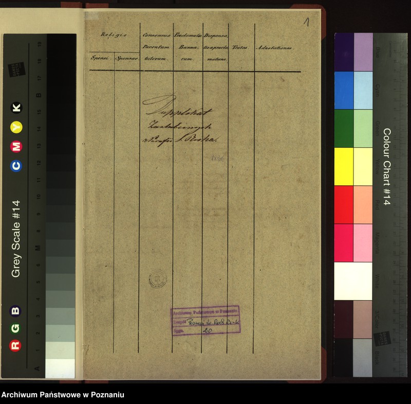 Obraz 3 z jednostki "Duplikat zaślubionych"