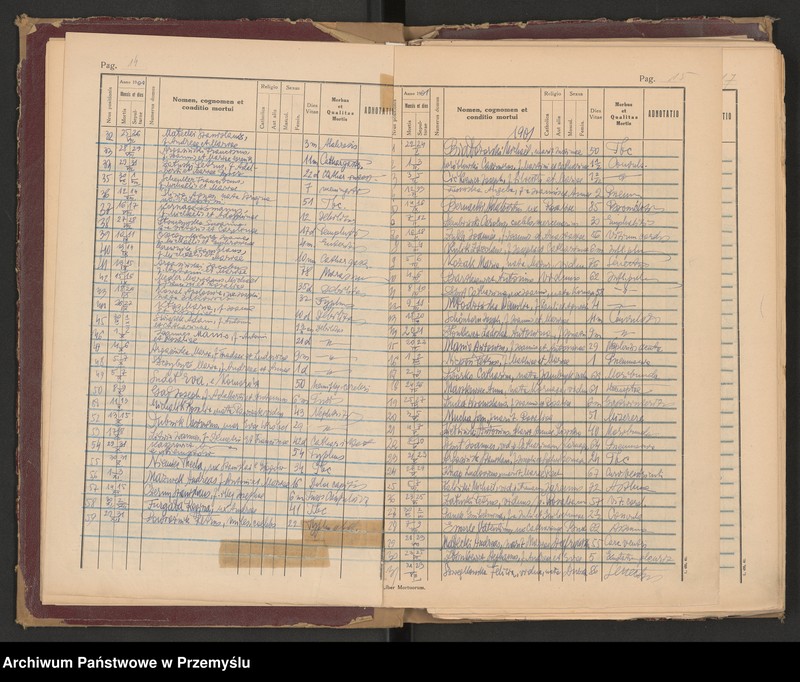 image.from.unit.number "Księga zgonów - wpisy dla miejscowości Lubaczów, Ostrowiec, Krowica, Lisie Jamy, Dąbrowa, Opaka, Dąbków, Załuże, Młodów-Antoniki - odpis"