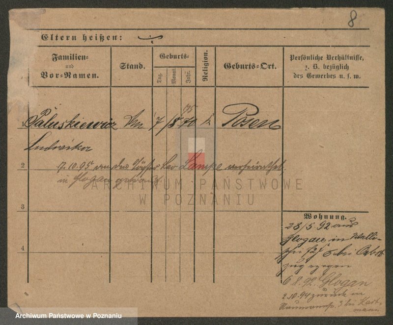 Obraz 8 z jednostki "Paluszkiewicz Pankow"